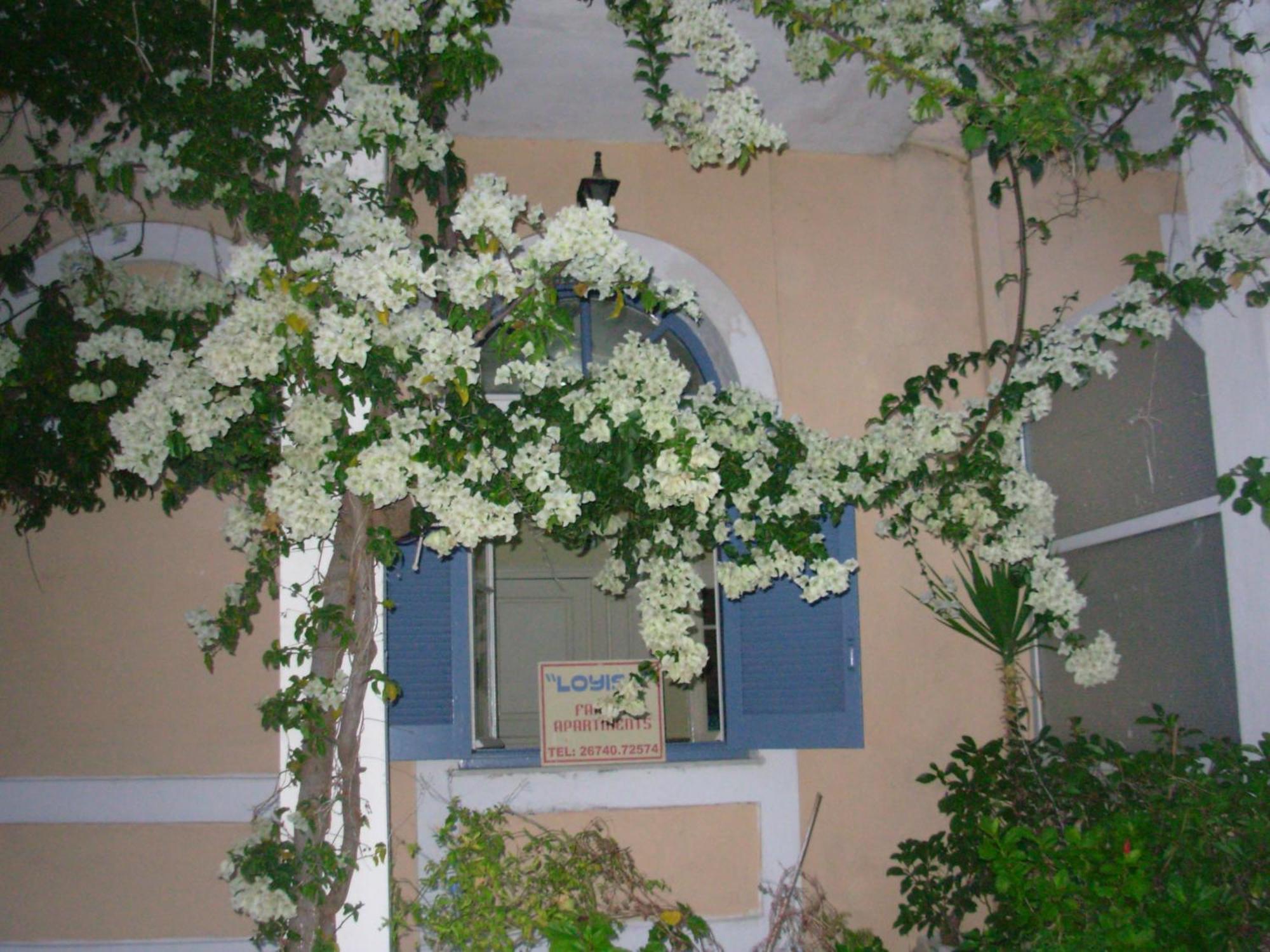 Louisa Studios Poros  Zewnętrze zdjęcie